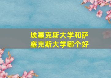 埃塞克斯大学和萨塞克斯大学哪个好