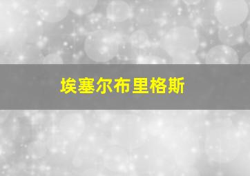 埃塞尔布里格斯