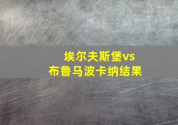 埃尔夫斯堡vs布鲁马波卡纳结果