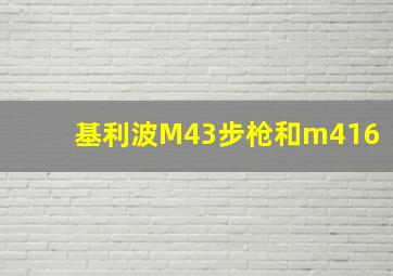 基利波M43步枪和m416