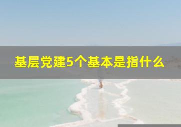 基层党建5个基本是指什么