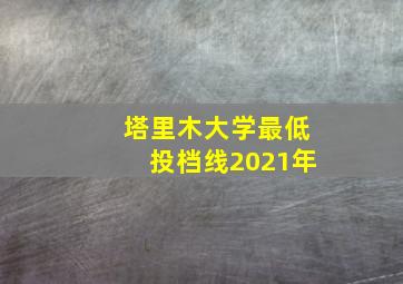 塔里木大学最低投档线2021年