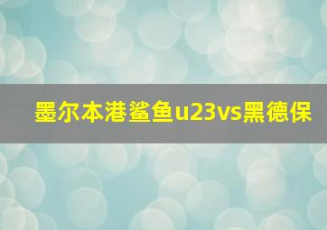 墨尔本港鲨鱼u23vs黑德保