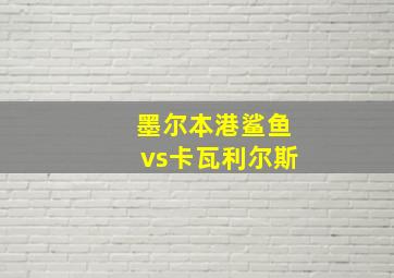 墨尔本港鲨鱼vs卡瓦利尔斯