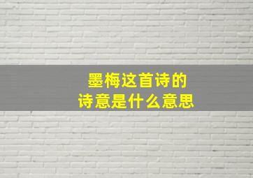 墨梅这首诗的诗意是什么意思