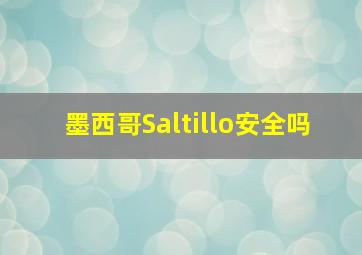 墨西哥Saltillo安全吗