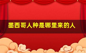 墨西哥人种是哪里来的人