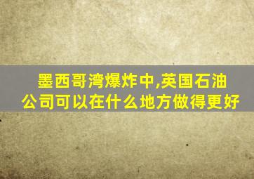 墨西哥湾爆炸中,英国石油公司可以在什么地方做得更好