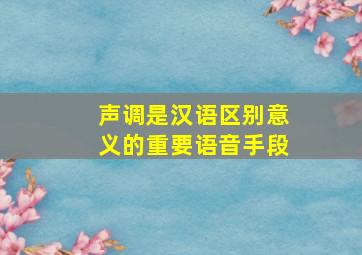 声调是汉语区别意义的重要语音手段