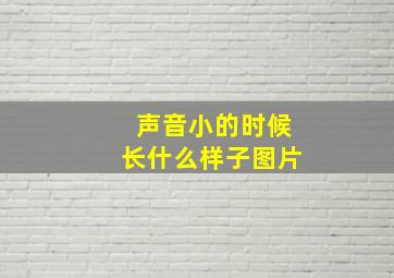 声音小的时候长什么样子图片