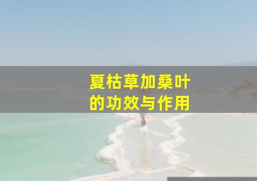 夏枯草加桑叶的功效与作用