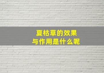 夏枯草的效果与作用是什么呢