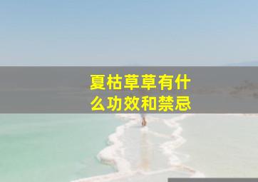 夏枯草草有什么功效和禁忌