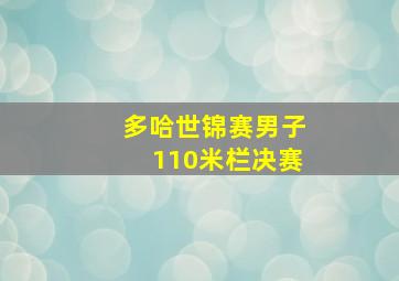 多哈世锦赛男子110米栏决赛