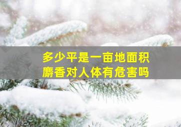 多少平是一亩地面积麝香对人体有危害吗