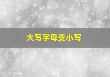 大写字母变小写