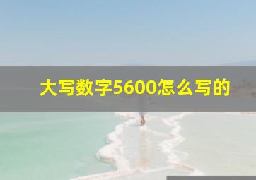 大写数字5600怎么写的