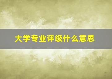 大学专业评级什么意思