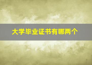 大学毕业证书有哪两个