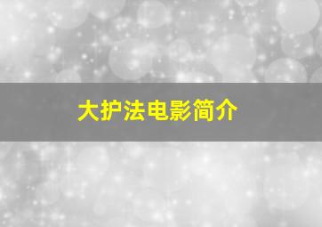 大护法电影简介