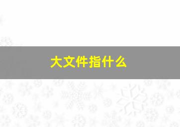 大文件指什么