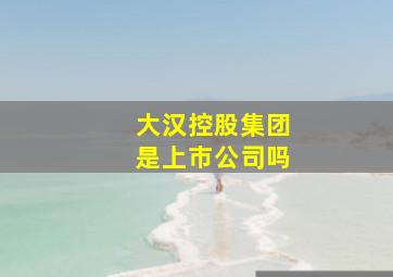 大汉控股集团是上市公司吗