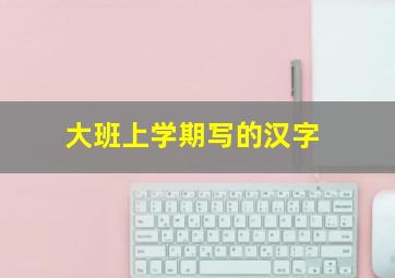 大班上学期写的汉字