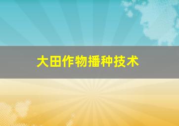 大田作物播种技术