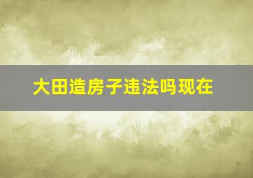 大田造房子违法吗现在