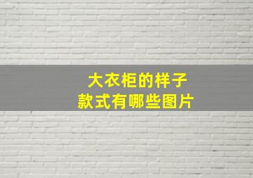 大衣柜的样子款式有哪些图片