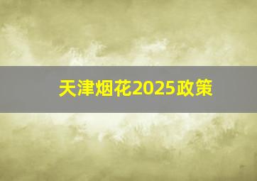 天津烟花2025政策