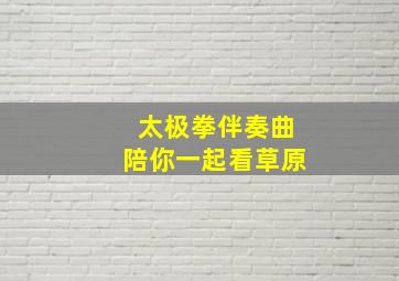 太极拳伴奏曲陪你一起看草原