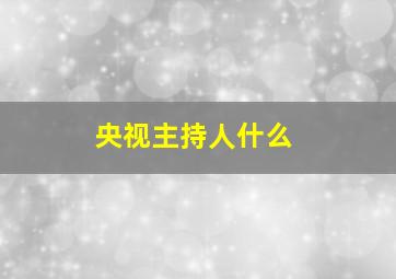 央视主持人什么