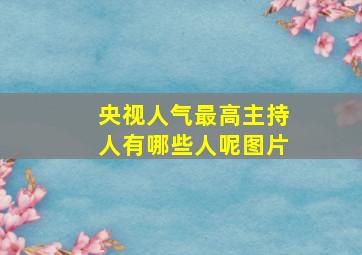 央视人气最高主持人有哪些人呢图片