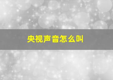 央视声音怎么叫