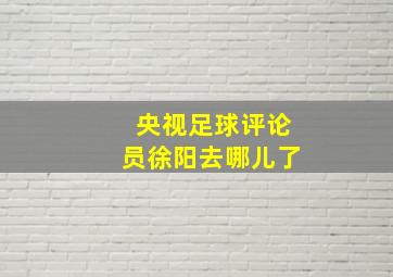 央视足球评论员徐阳去哪儿了