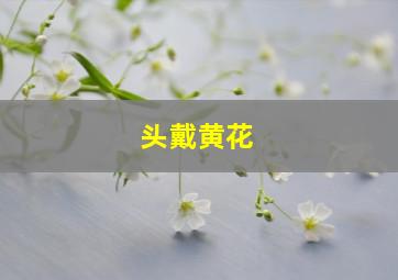 头戴黄花