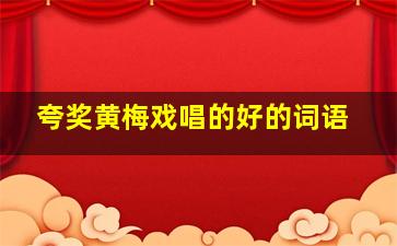 夸奖黄梅戏唱的好的词语