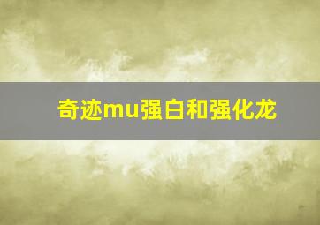 奇迹mu强白和强化龙