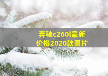 奔驰c260l最新价格2020款图片