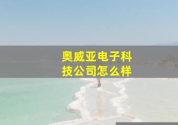 奥威亚电子科技公司怎么样