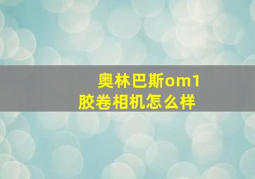 奥林巴斯om1胶卷相机怎么样