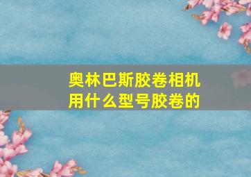 奥林巴斯胶卷相机用什么型号胶卷的