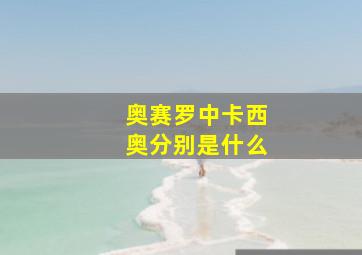 奥赛罗中卡西奥分别是什么