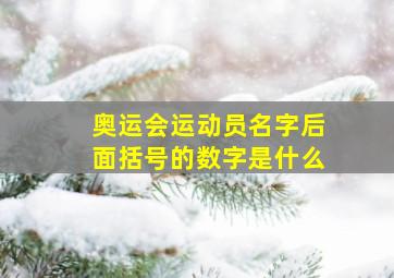 奥运会运动员名字后面括号的数字是什么