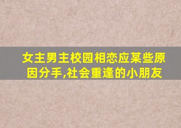 女主男主校园相恋应某些原因分手,社会重逢的小朋友