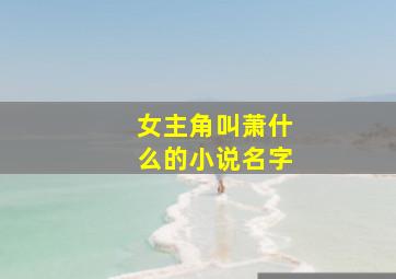 女主角叫萧什么的小说名字