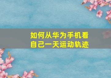 如何从华为手机看自己一天运动轨迹