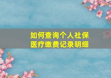 如何查询个人社保医疗缴费记录明细