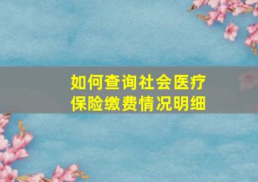 如何查询社会医疗保险缴费情况明细